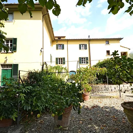 Dalia * Cortona